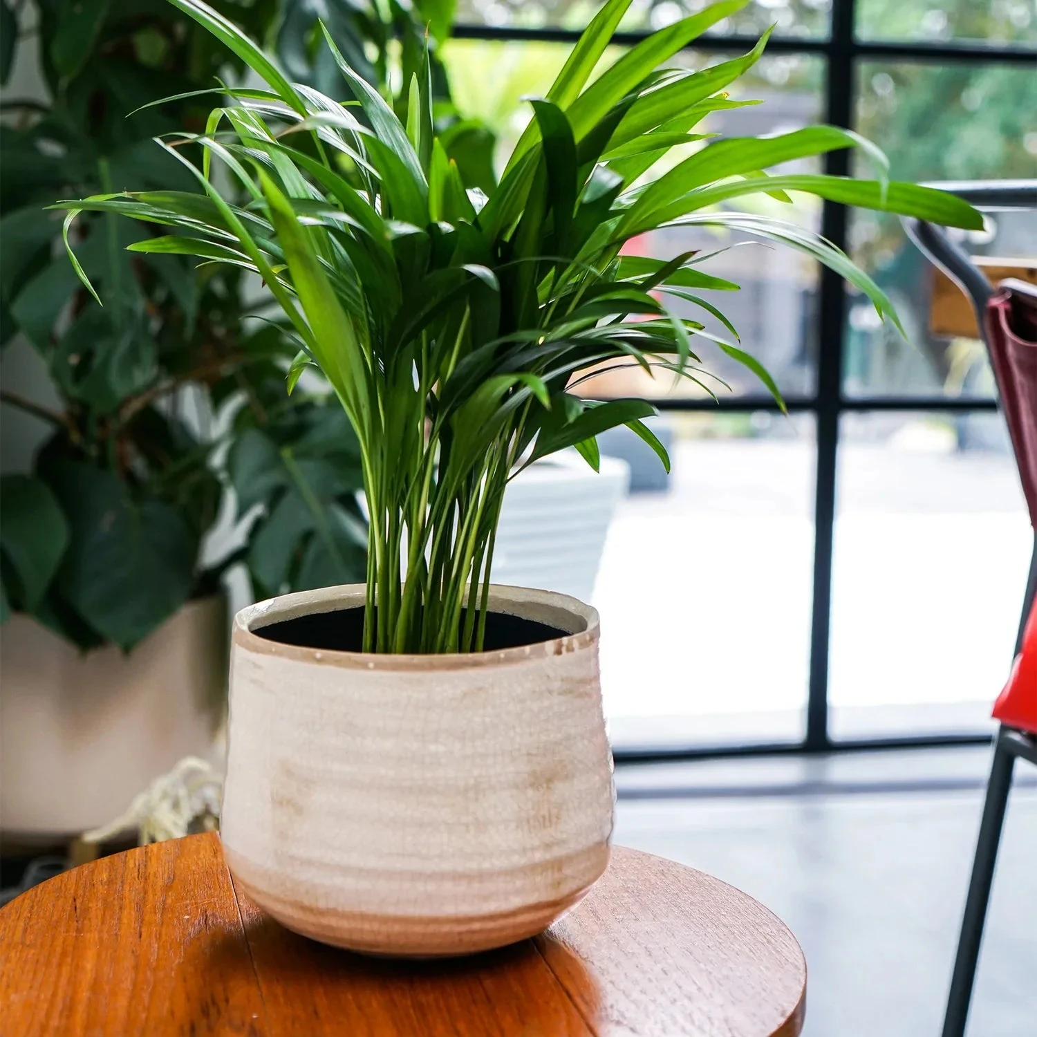 Como Cream Premium Glaze Planter (18cm Plant Pot) - Image 3