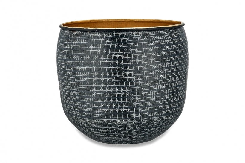 Aglaomorpha Coronans 'Snake Leaf Fern’ & Tembesi Pot - Image 7