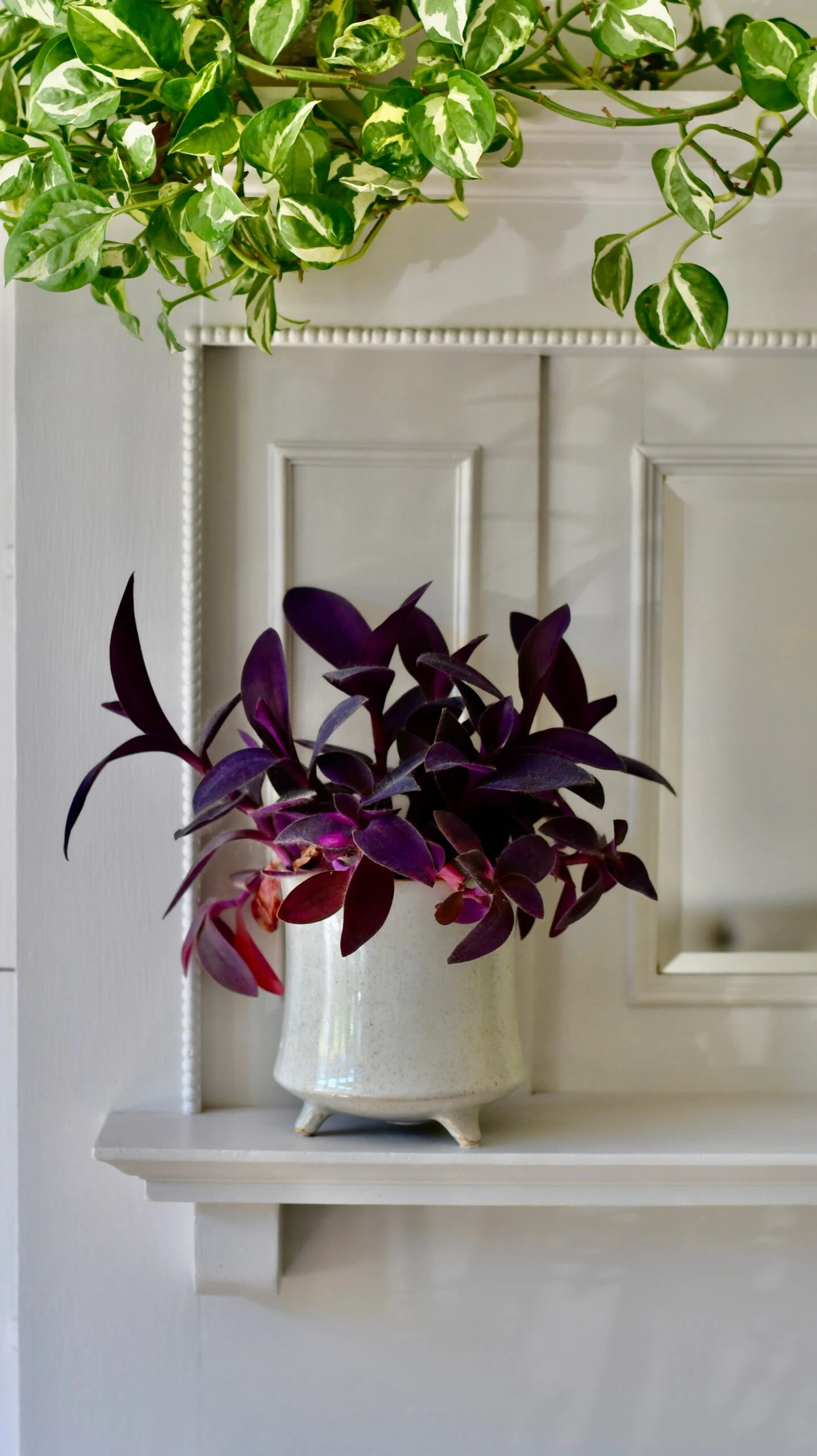 Stone Planter (13cm Plant Pot) - Image 4