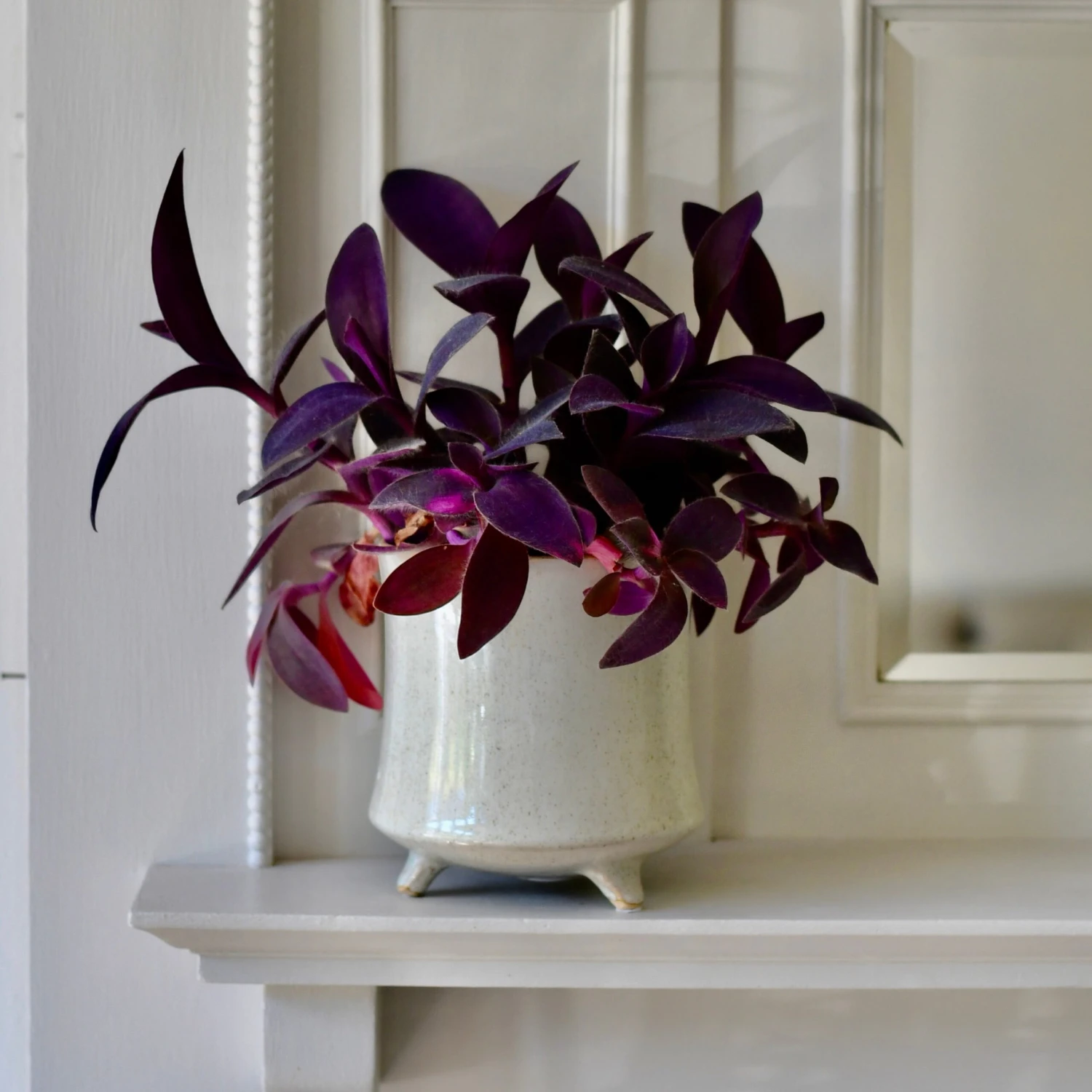 Stone Planter (13cm Plant Pot)