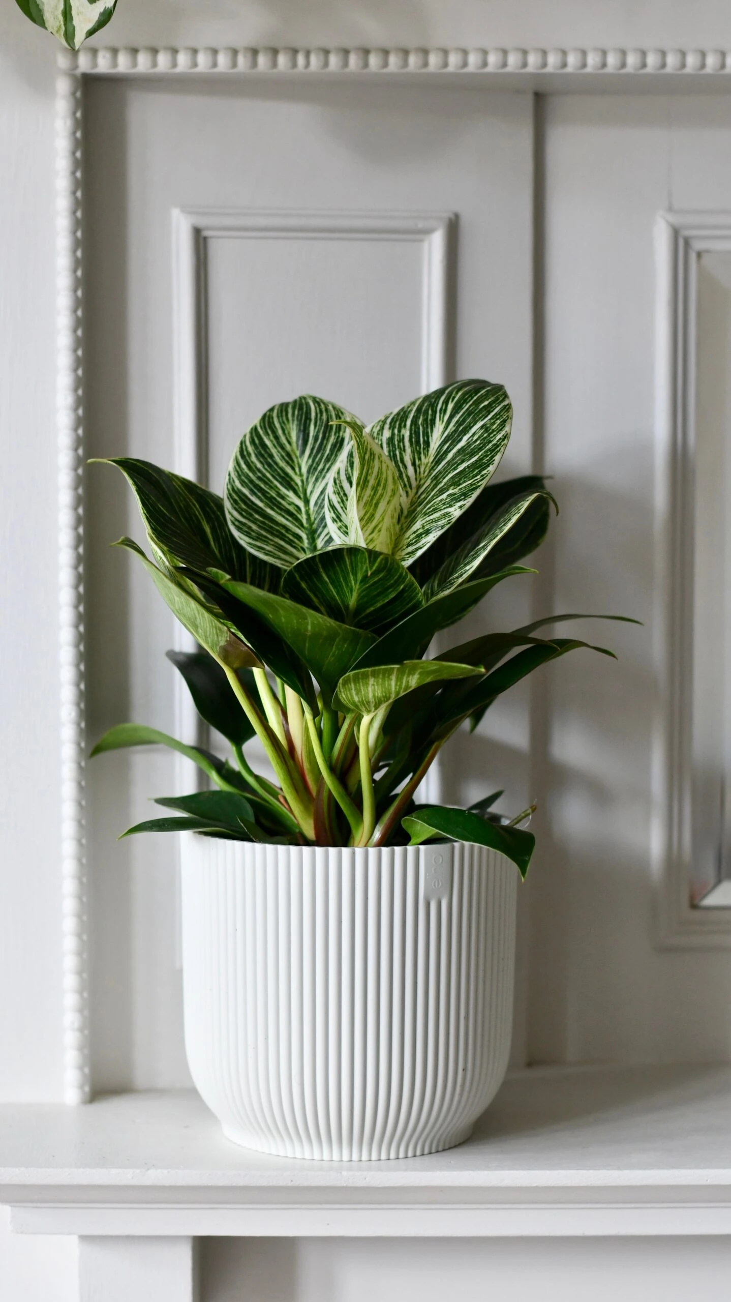 Vibes Fold Round 16cm Silky White - Image 2