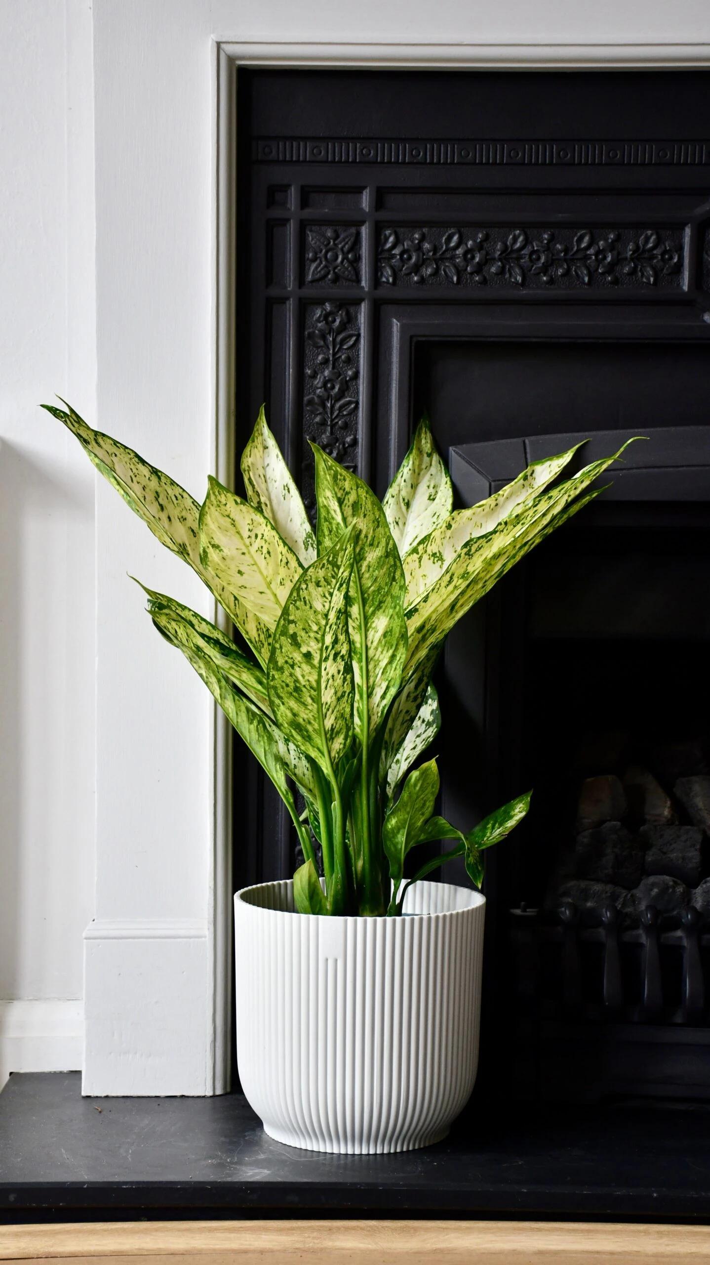 Vibes Fold Round 16cm Silky White - Image 4