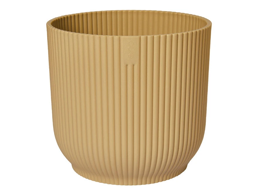 Oxalis Triangularis 'Purple Shamrock’ & Vibes Pot - Image 9