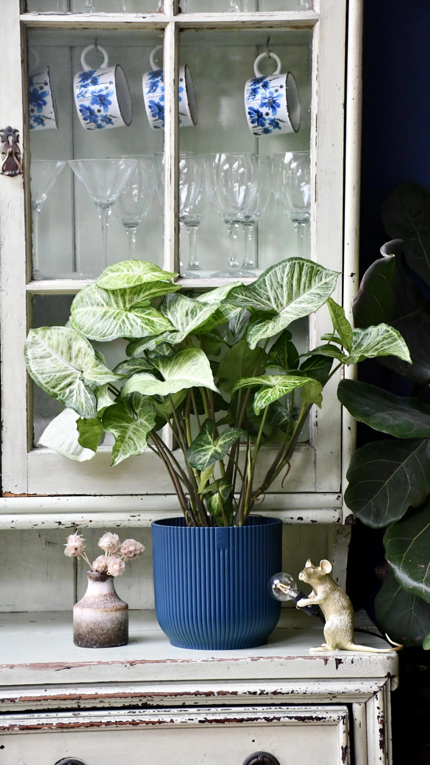Syngonium White Butterfly And Vibes Pot - Image 2