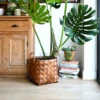 Natural Basket Planter - Brown 30cm