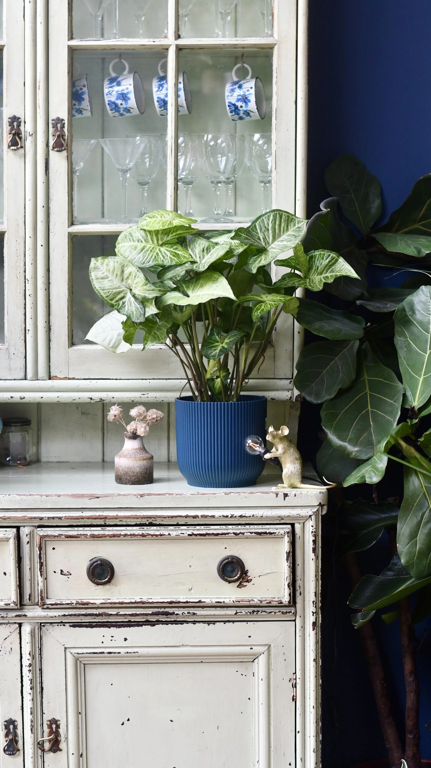 Syngonium White Butterfly And Vibes Pot - Image 4