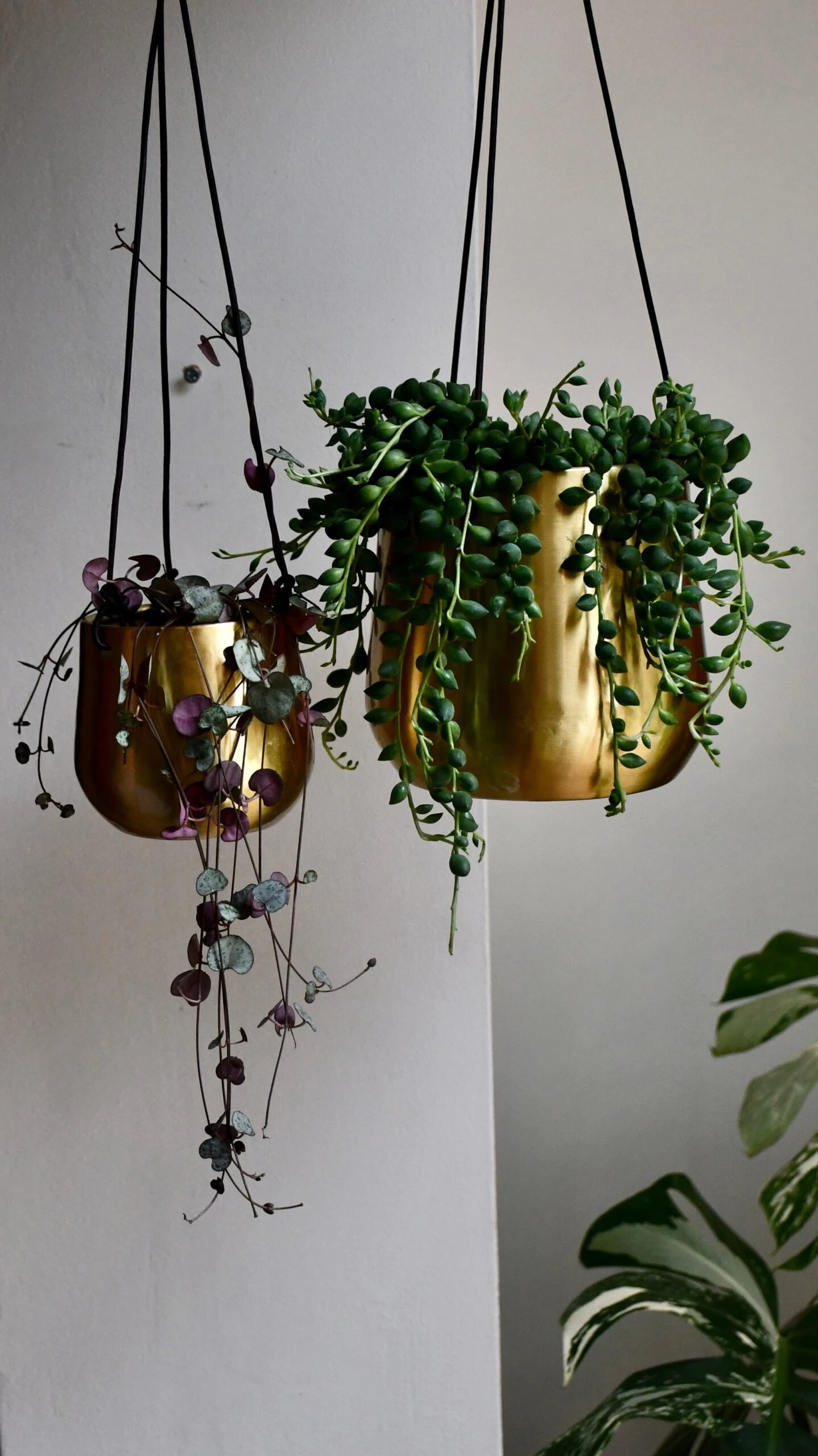 Hanging String Of Hearts & Atsu Brass Hanging Planter - Image 2