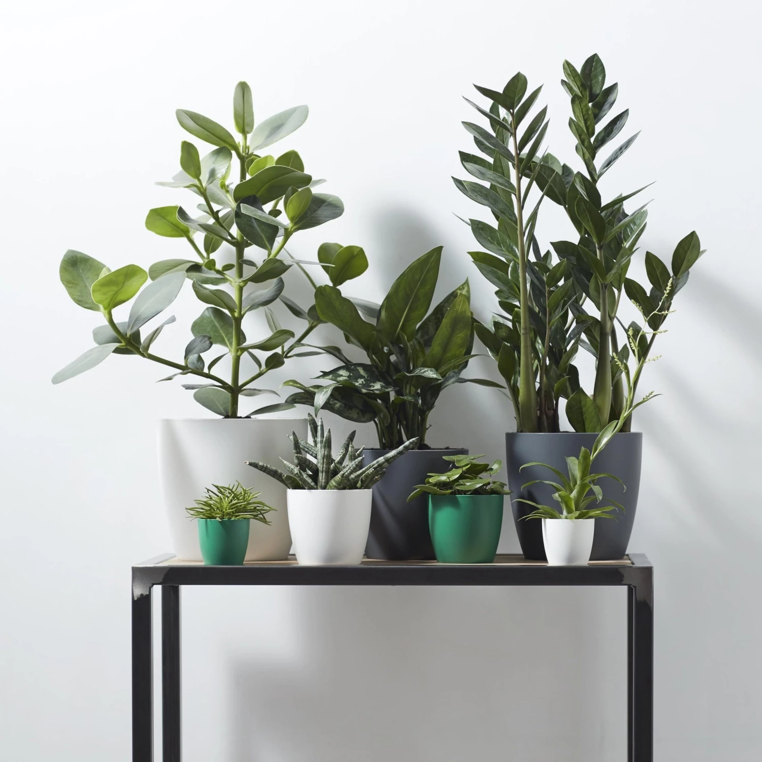 Brussels Round Plant Pot 16cm - Image 6