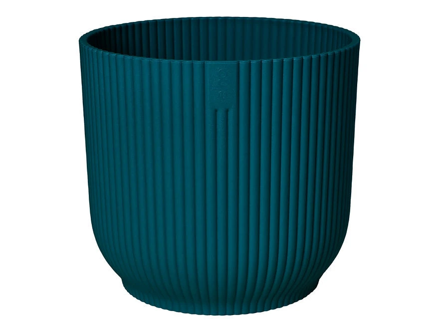 Oxalis Triangularis 'Purple Shamrock’ & Vibes Pot - Image 8