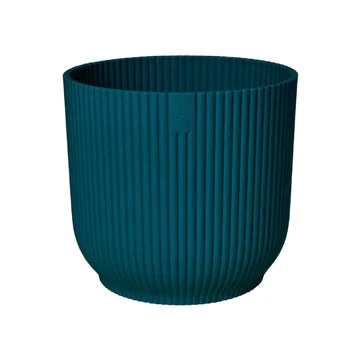 Ficus Elastica 'Belize' & Pot - Image 13