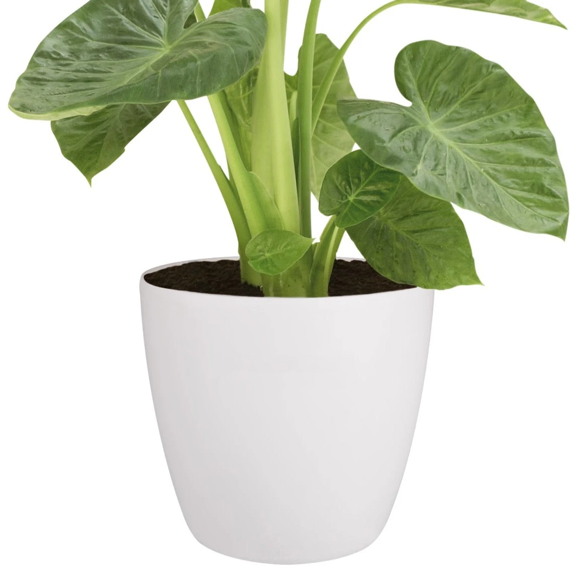 Brussels Round Plant Pot 30cm - Image 2