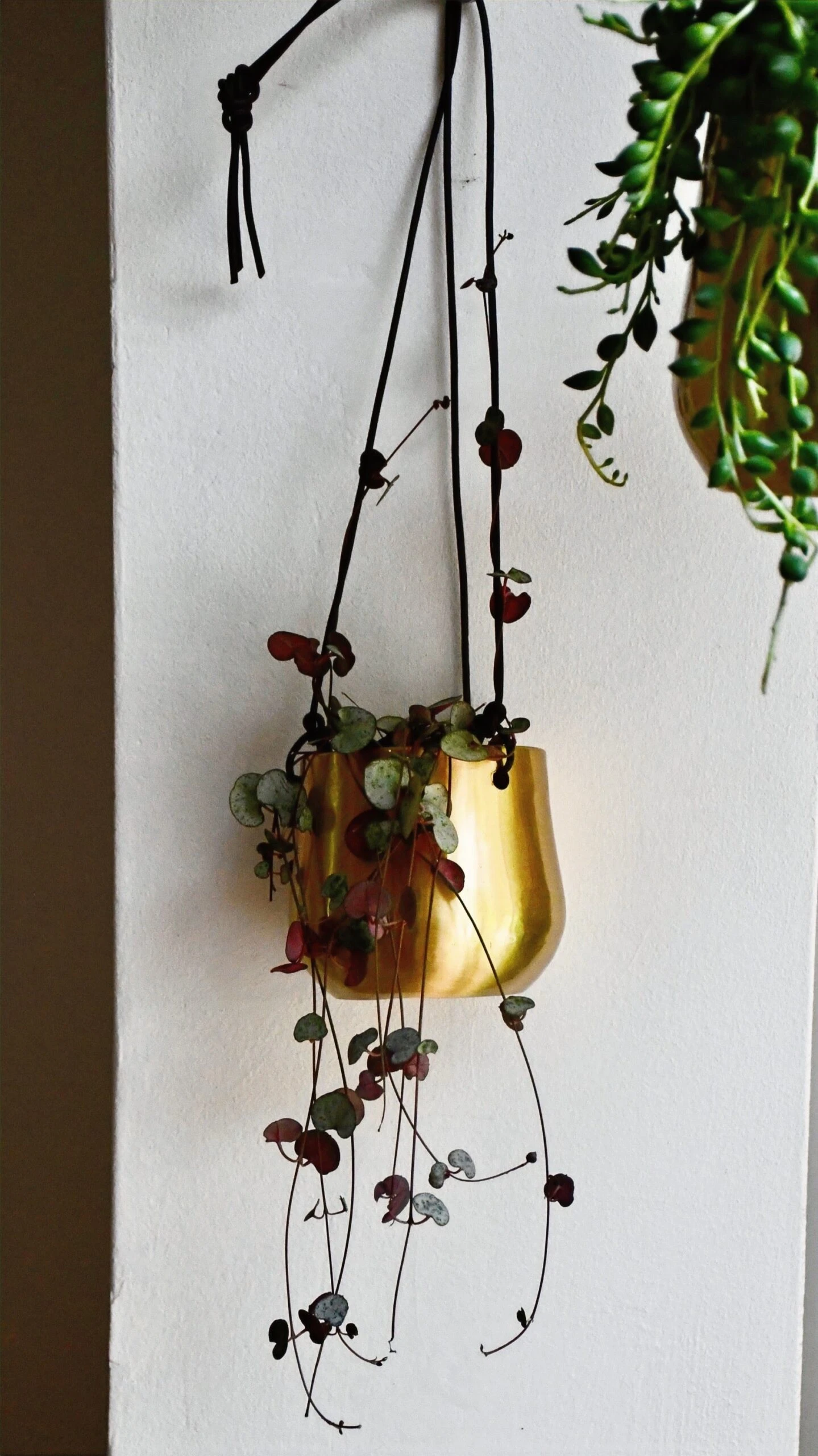 Hanging String Of Hearts & Atsu Brass Hanging Planter - Image 3
