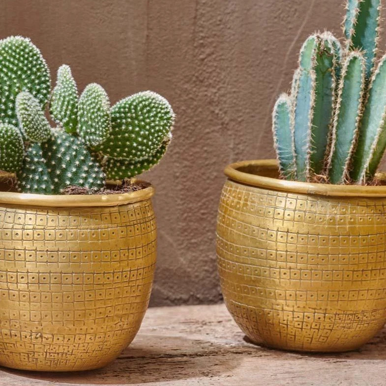 Tembesi Etched Planter Medium Brass - Image 4