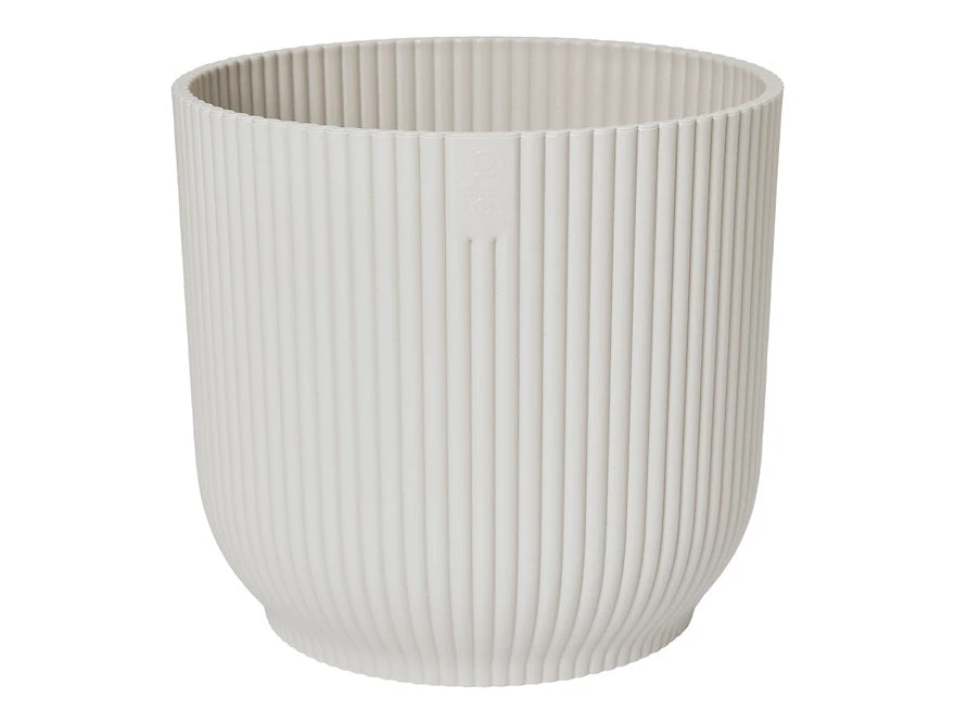 Oxalis Triangularis 'Purple Shamrock’ & Vibes Pot - Image 11