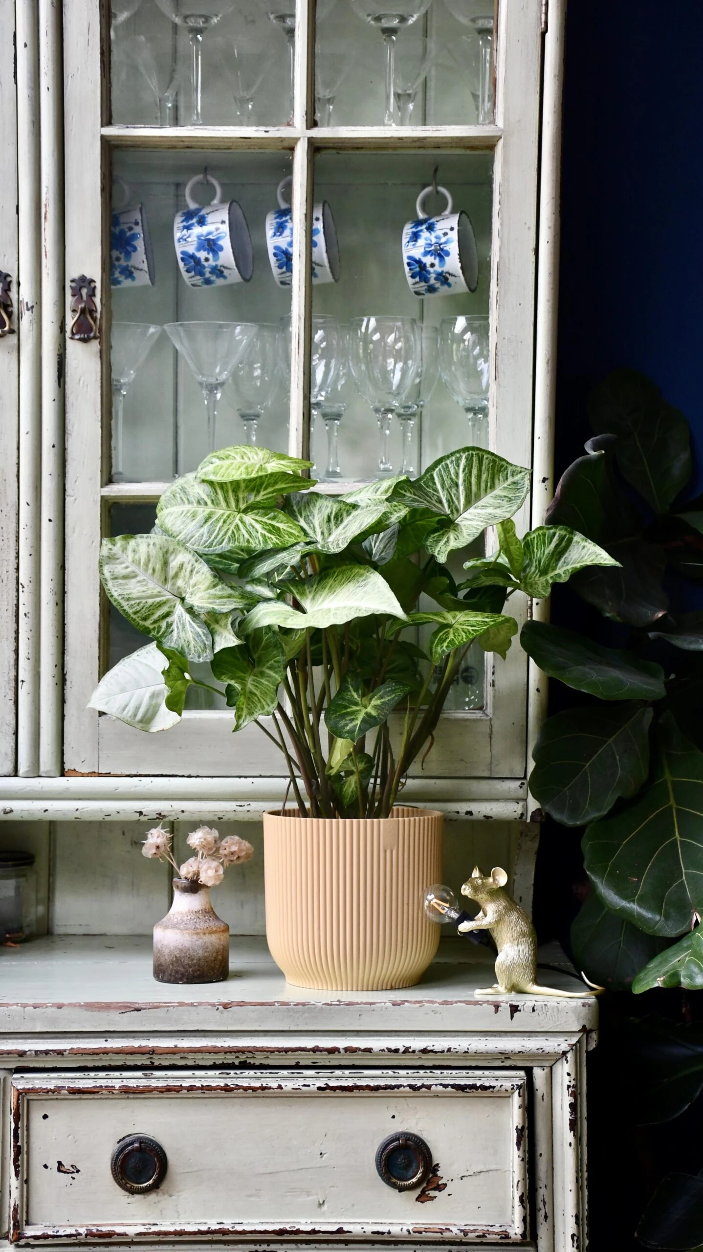 Syngonium White Butterfly And Vibes Pot - Image 6
