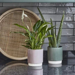 Athens Ceramic Reactive Glaze Indoor Ribbed Plant Pot Green (13cm Pot)