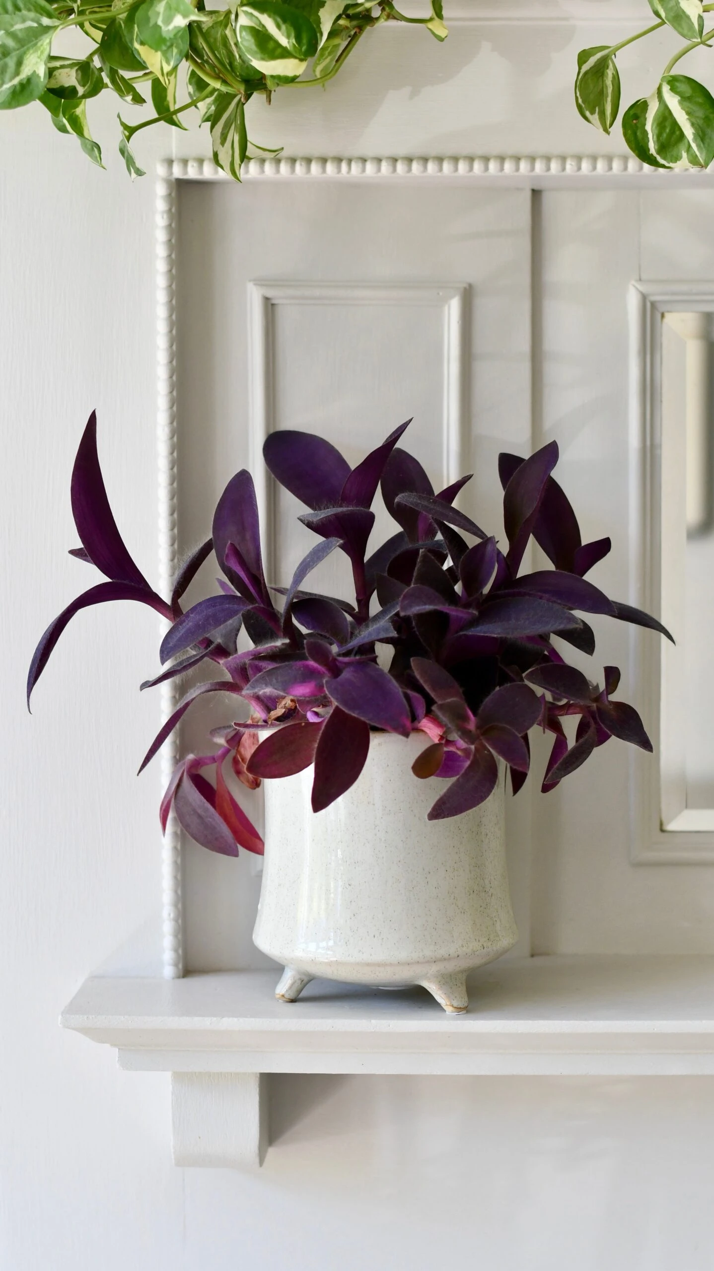 Stone Planter (13cm Plant Pot) - Image 3