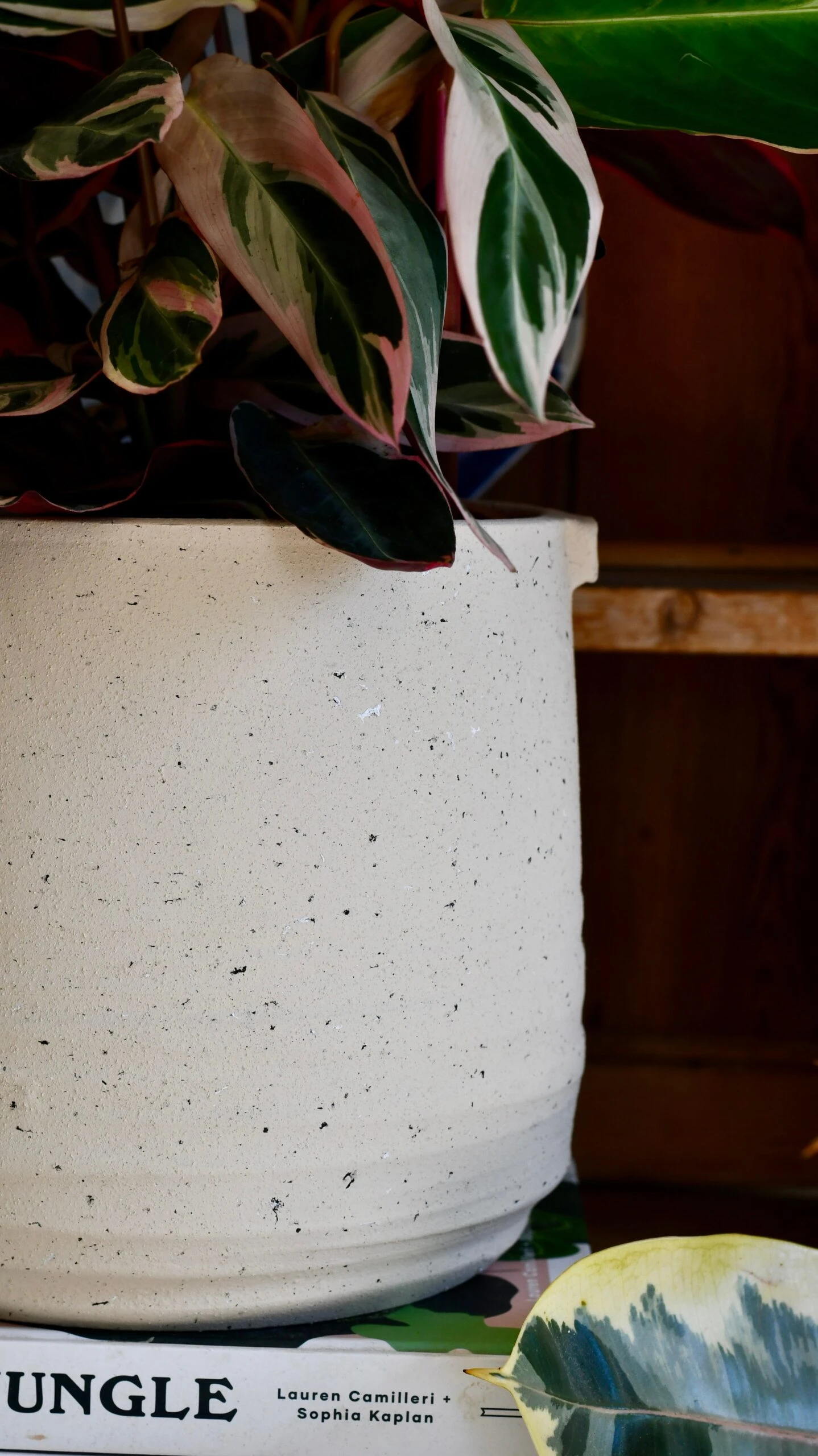 Oat Stoneware Handle Planter (17cm) - Image 5