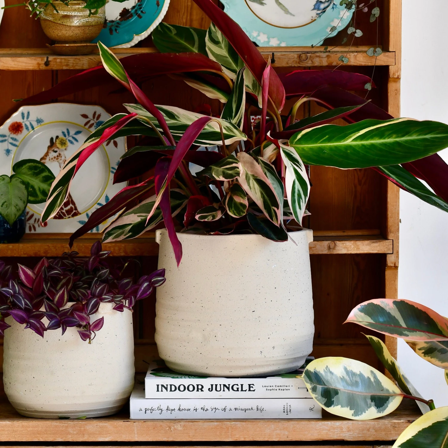 Oat Stoneware Handle Planter (21cm Pot)