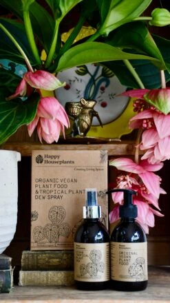 Plant Food & Tropical Dew Spray Gift Set