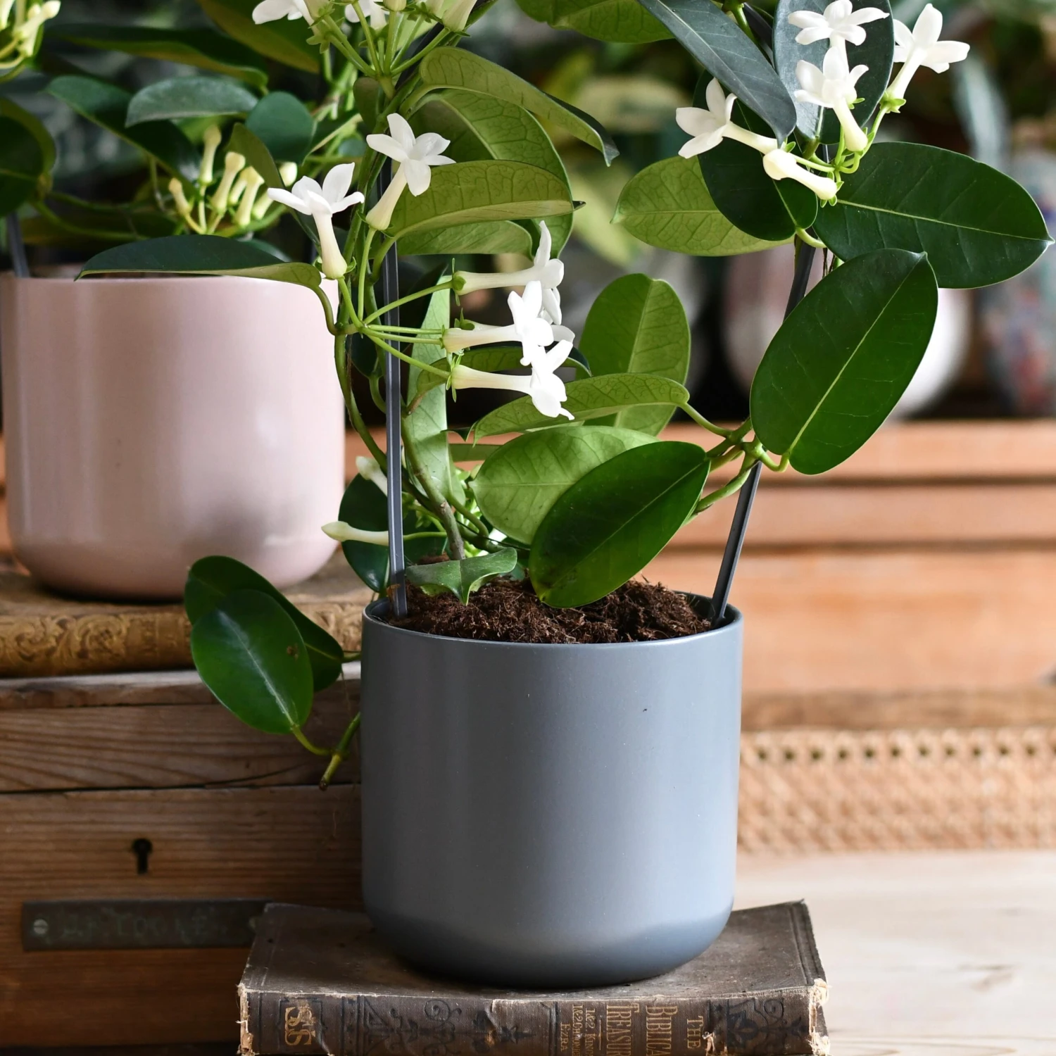 Lisbon Designer Planter Charcoal 18cm - Image 2