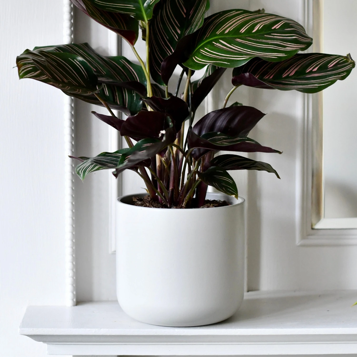 Lisbon Designer Planter Light Grey 18cm - Image 4