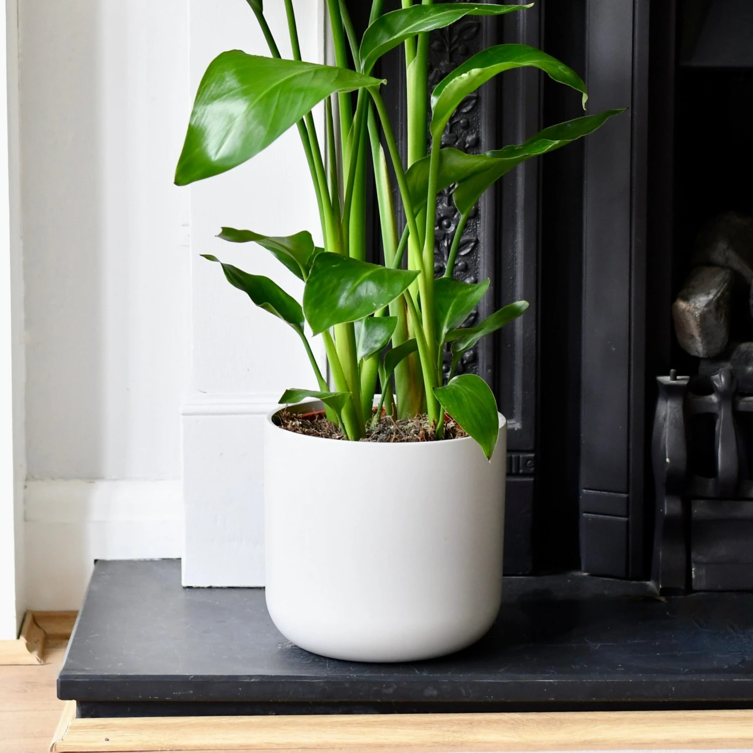 Lisbon Designer Planter Light Grey 18cm - Image 3