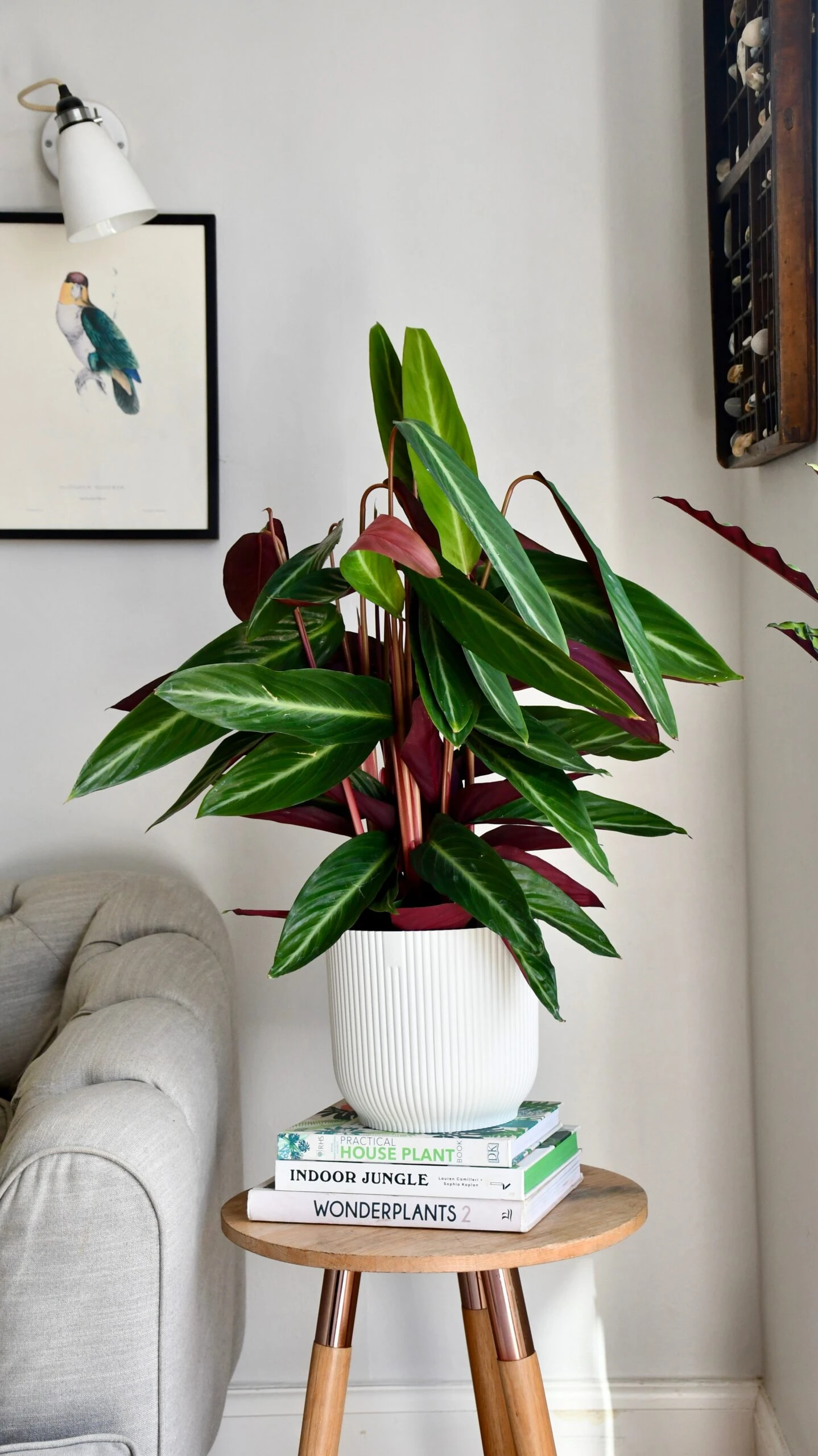 Vibes Fold Round 16cm Silky White - Image 3