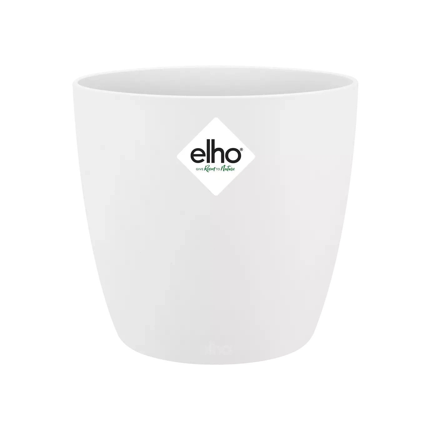 Ficus Golden King & Baby Peperomia Milano Houseplant Gift Set - Image 6