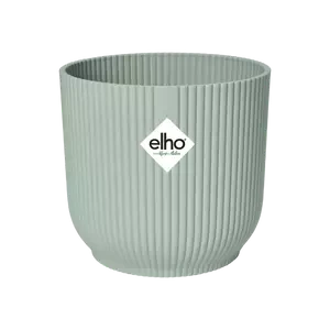 Tradescantia Pallida 'Purpurea' (Purple Heart) & Vibes Pot - Image 11