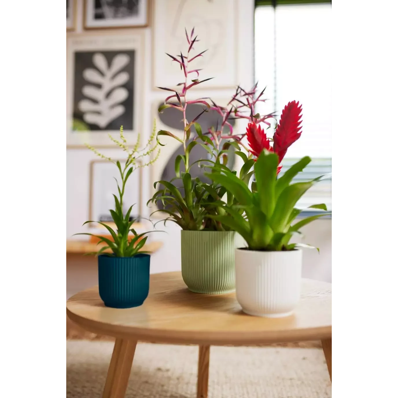 Vibes Fold Round Mini 11cm Delicate Pink - Image 4