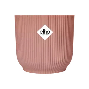 Syngonium White Butterfly And Vibes Pot - Image 9