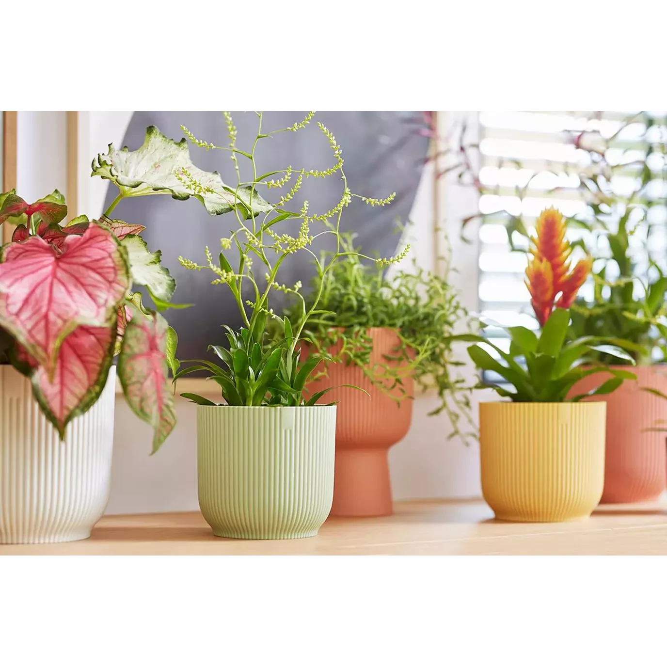 Vibes Fold Round Mini 11cm Delicate Pink - Image 5