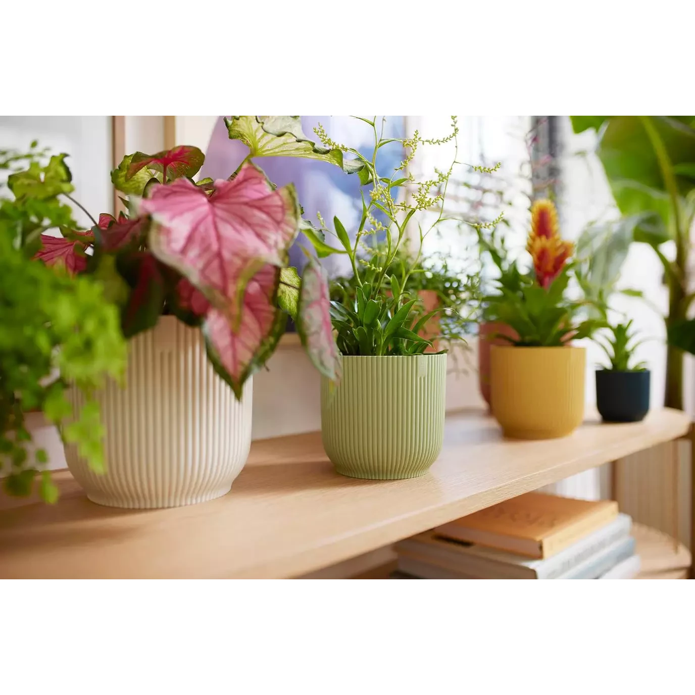 Vibes Fold Round Mini 11cm Delicate Pink - Image 3