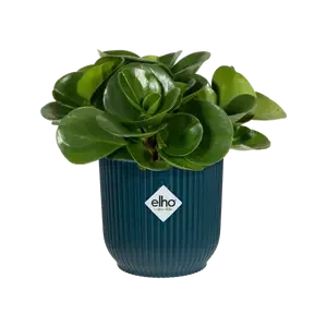 Vibes Fold Round 16cm Deep Blue - Image 3