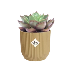 Vibes Fold Round Mini 11cm Butter Yellow